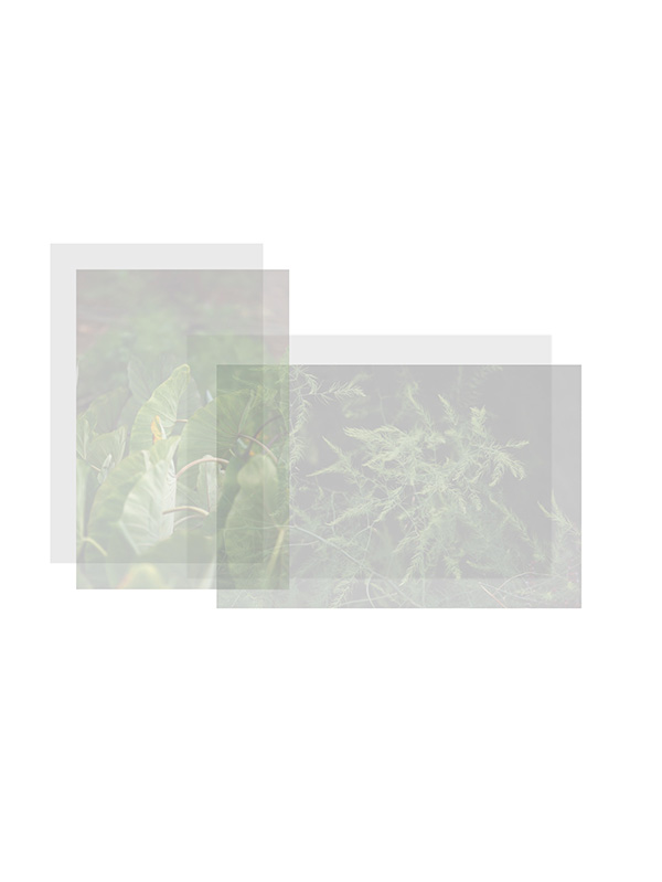 Law of Attraction Card - Image 3