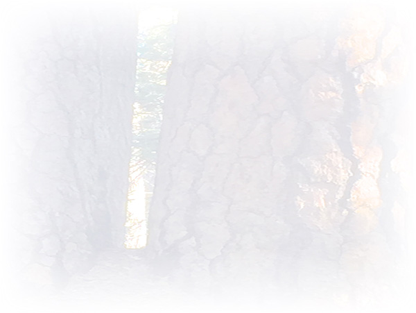 Law of Attraction Card - Image 3