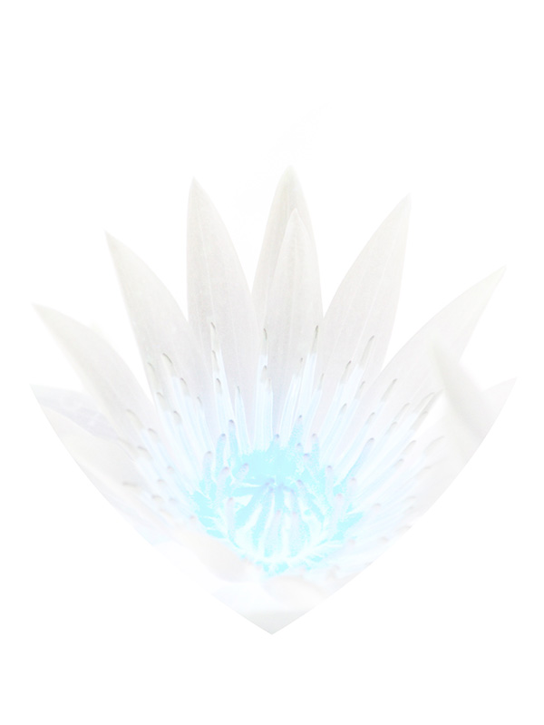 Law of Attraction Card - Image 3