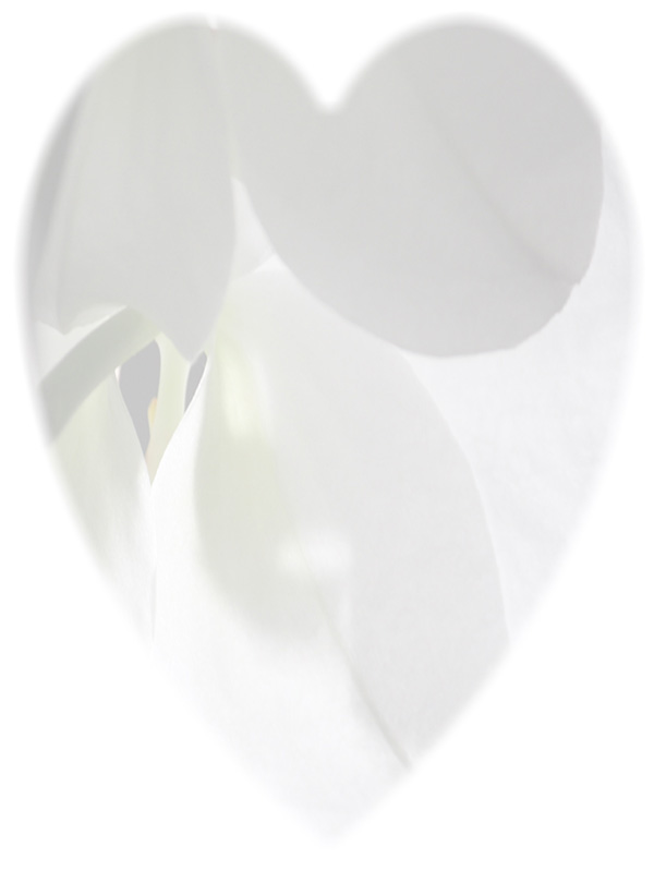 Law of Attraction Card - Image 3