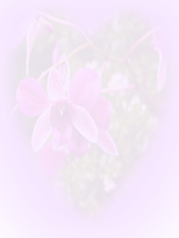 Law of Attraction Card - Image 3