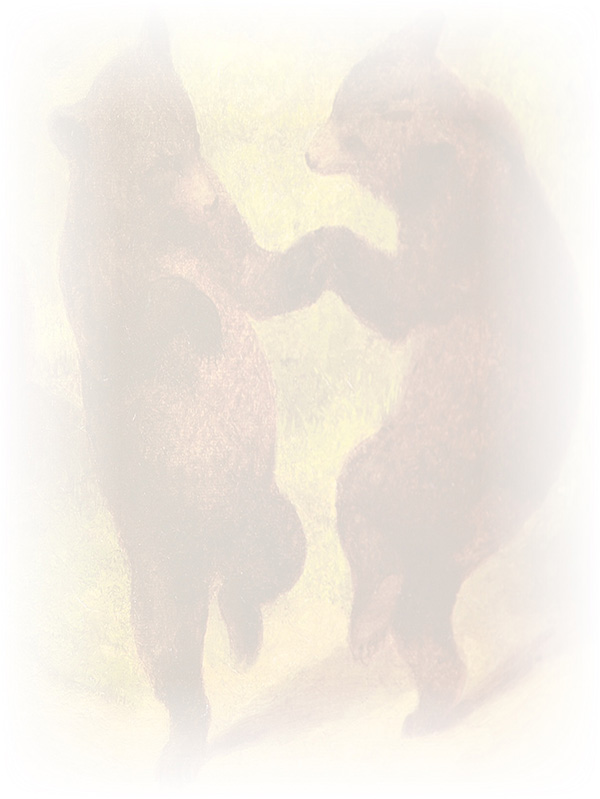 Law of Attraction Card - Image 3