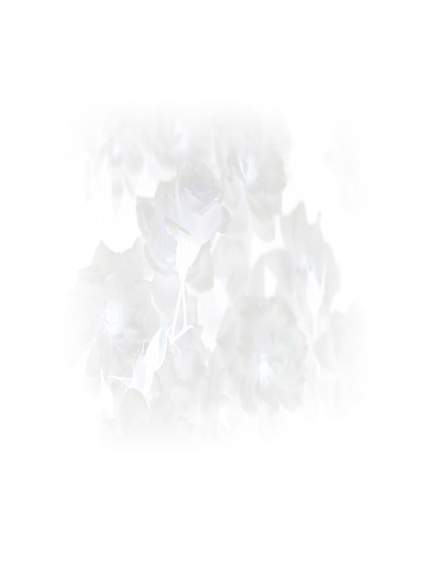 Law of Attraction Card - Image 3
