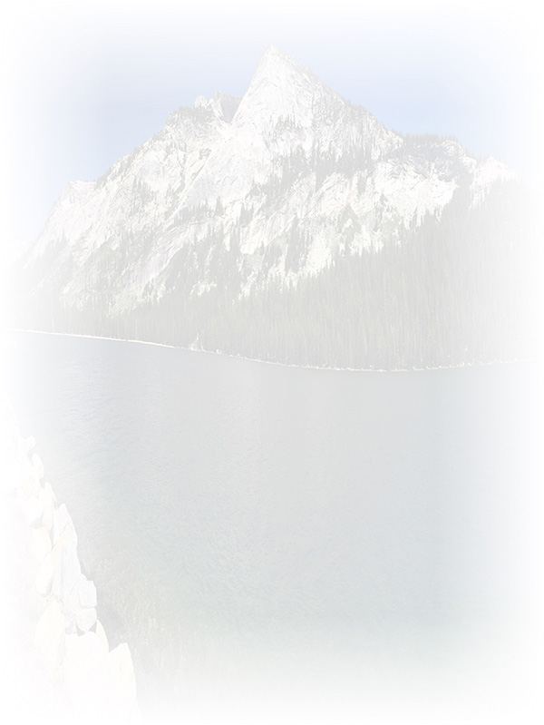 Law of Attraction Card - Image 3