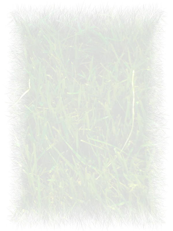 Law of Attraction Card - Image 3