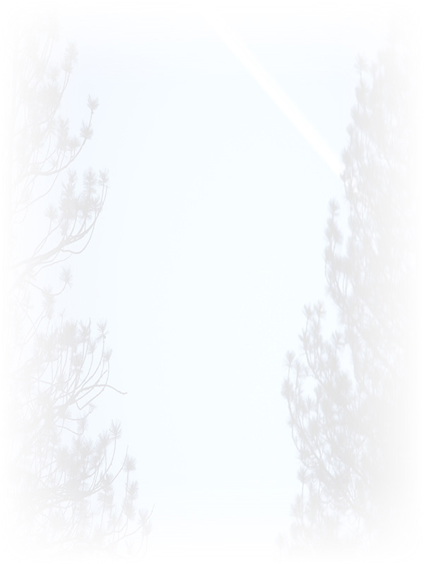 Law of Attraction Card - Image 3