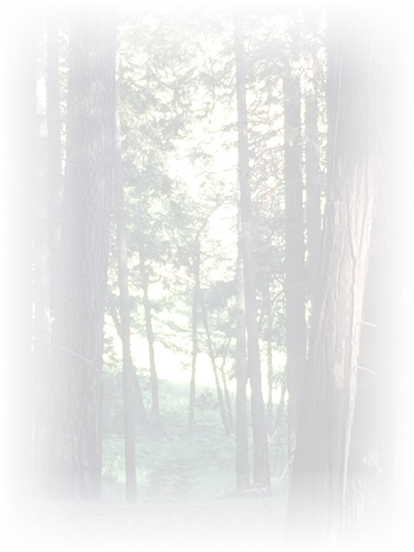 Law of Attraction Card - Image 3
