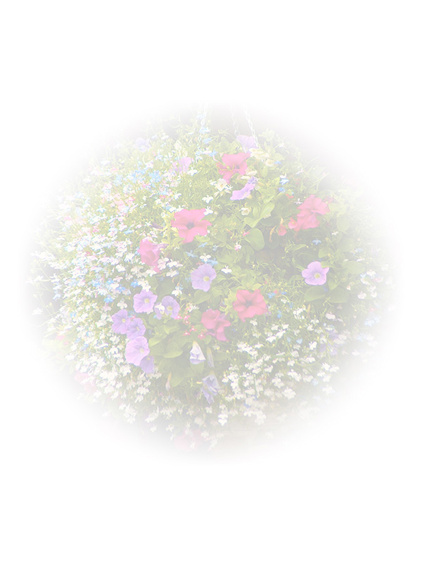 Law of Attraction Card - Image 3