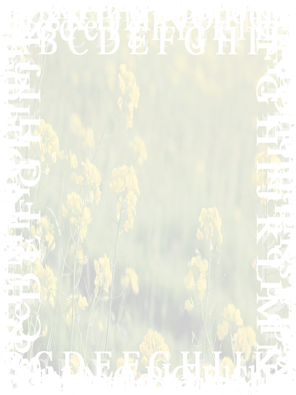 Law of Attraction Card - Image 3