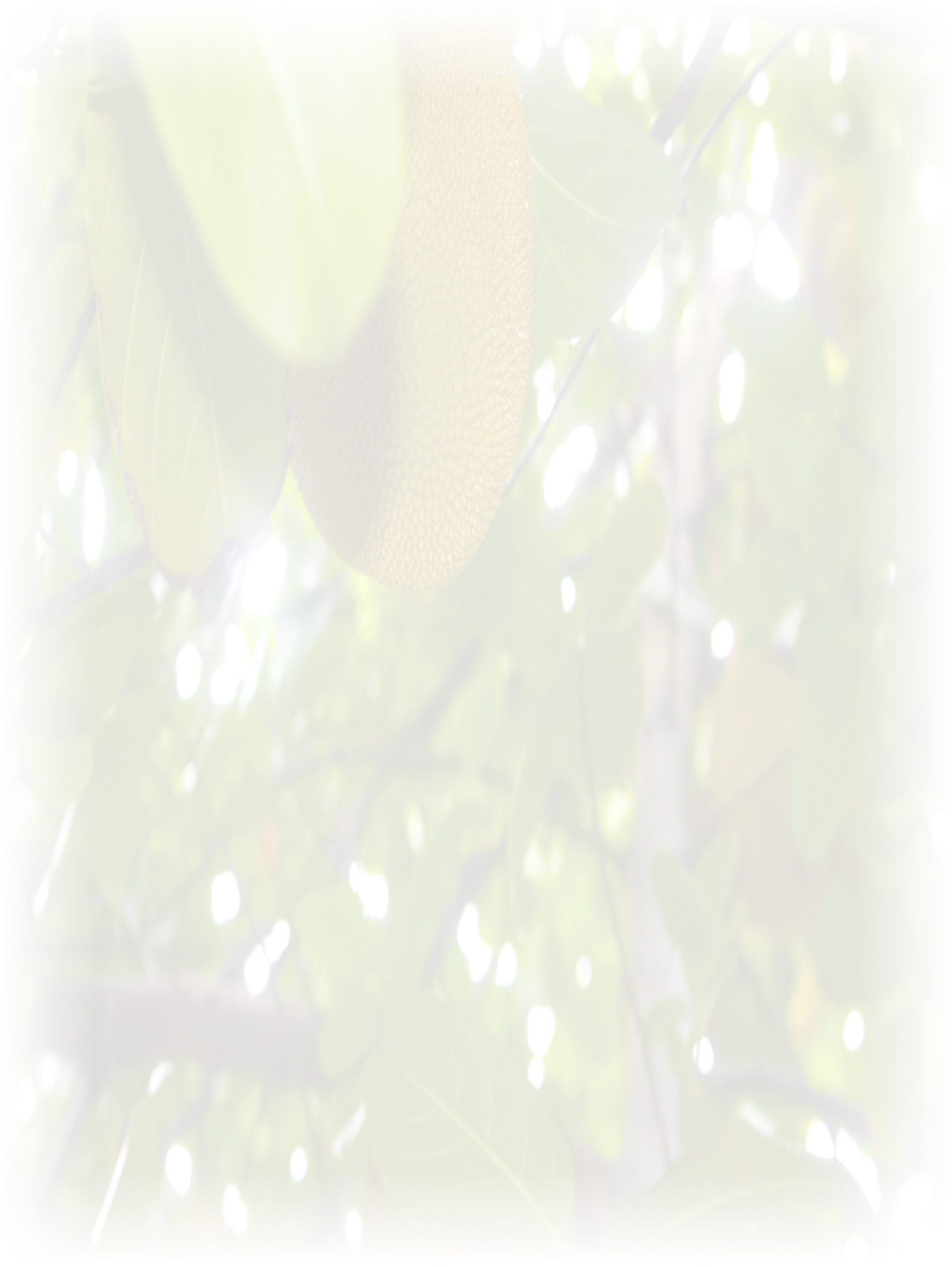 Law of Attraction Card - Image 3