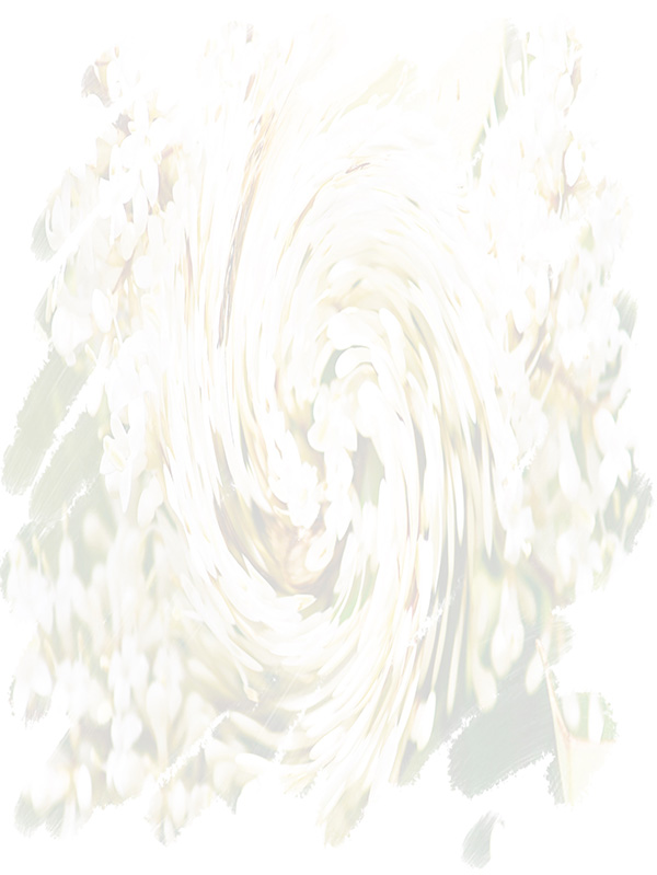 Law of Attraction Card - Image 3