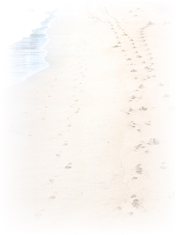 Law of Attraction Card - Image 3