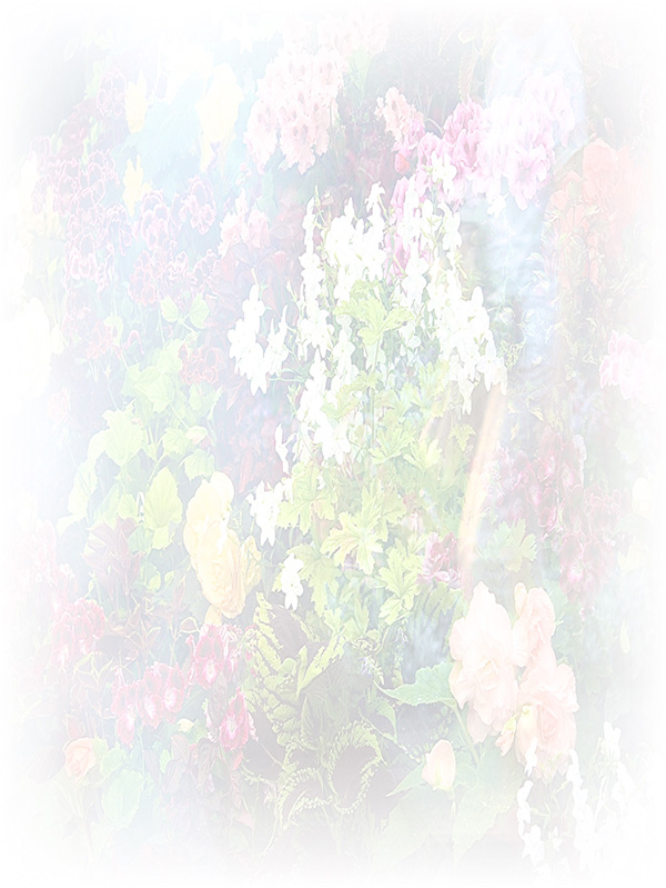 Law of Attraction Card - Image 3