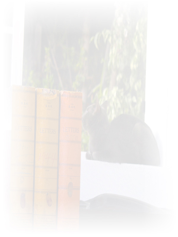 Law of Attraction Card - Image 3