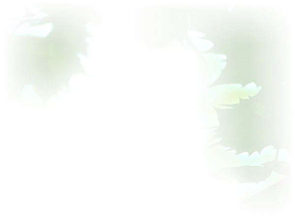 Law of Attraction Card - Image 3