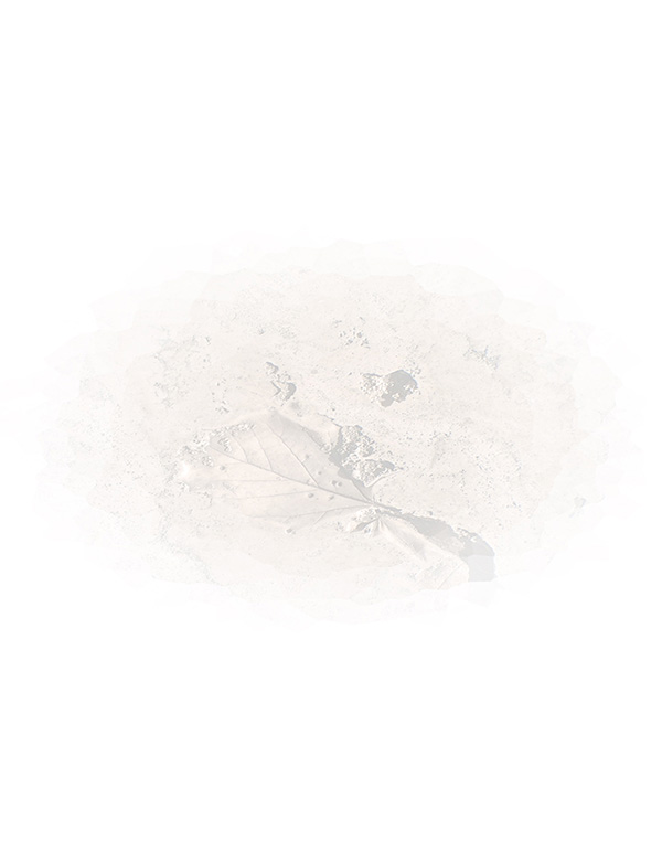 Law of Attraction Card - Image 3