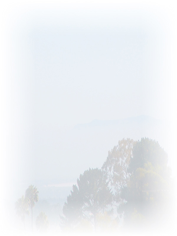 Law of Attraction Card - Image 3