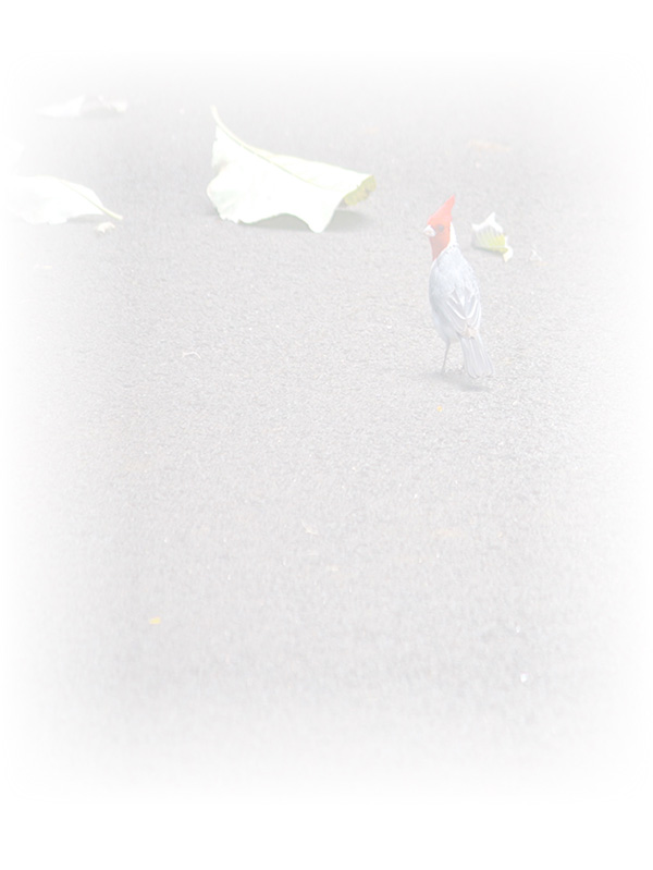 Law of Attraction Card - Image 3