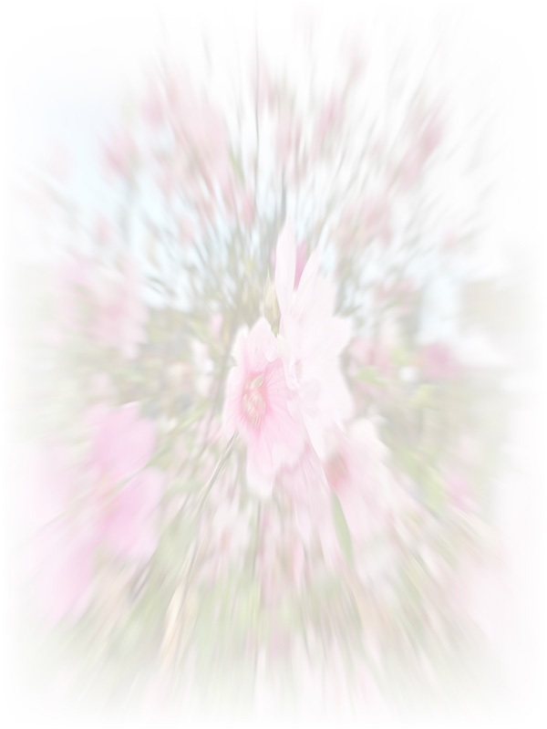 Law of Attraction Card - Image 3