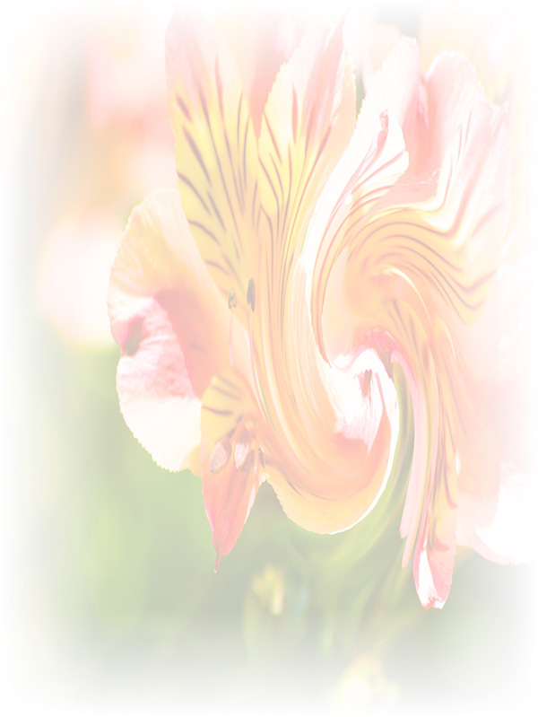 Law of Attraction Card - Image 3