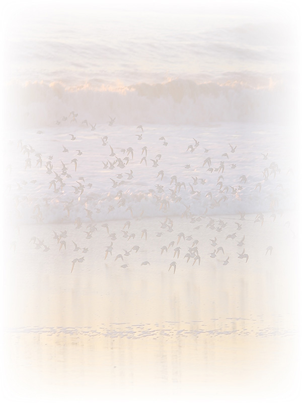 Law of Attraction Card - Image 3