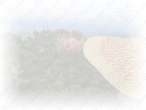 Law of Attraction Card - Image 3