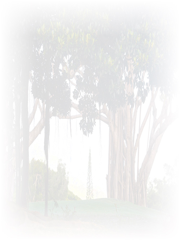 Law of Attraction Card - Image 3