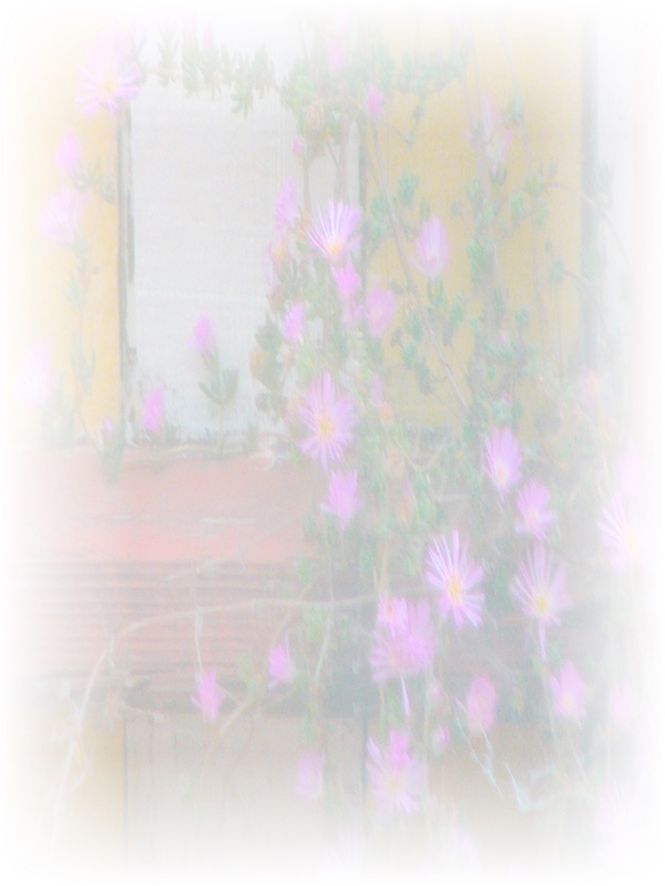 Law of Attraction Card - Image 3