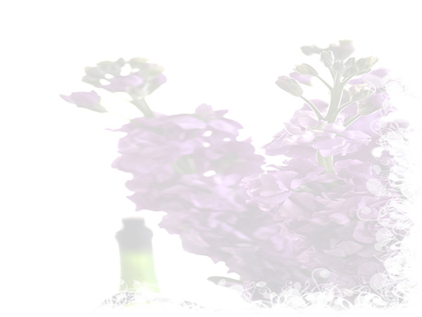 Law of Attraction Card - Image 3