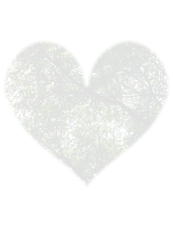 Law of Attraction Card - Image 3