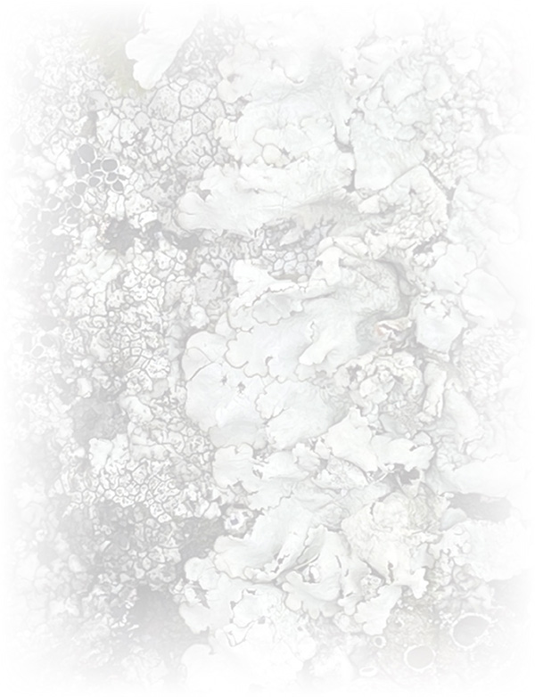 Law of Attraction Card - Image 3