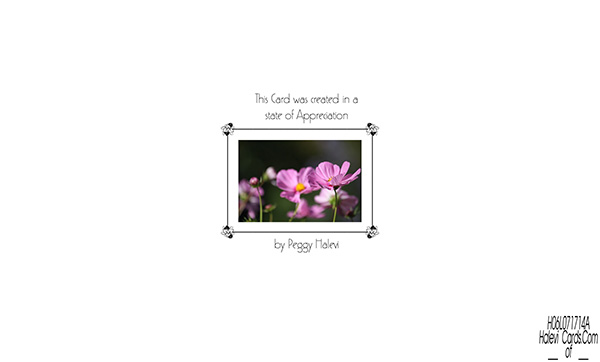 Law of Attraction Card Card - Image 2