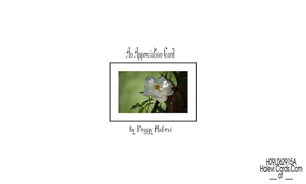 Law of Attraction Card - Image 2