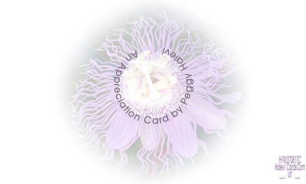 Law of Attraction Card - Image 2