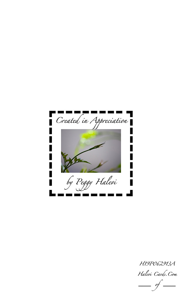 Law of Attraction Card - Image 2