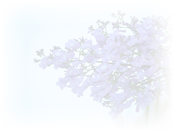 Law of Attraction Card - Image 3
