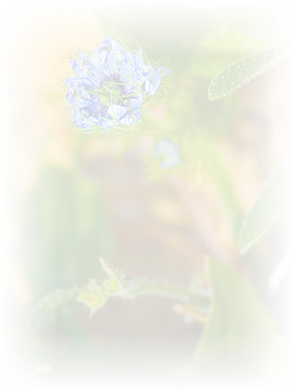 Law of Attraction Card - Image 3