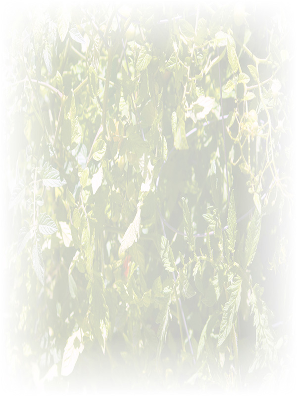 Law of Attraction Card - Image 3