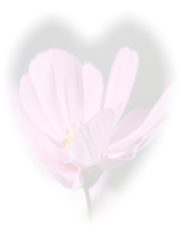 Law of Attraction Card Card - Image 3