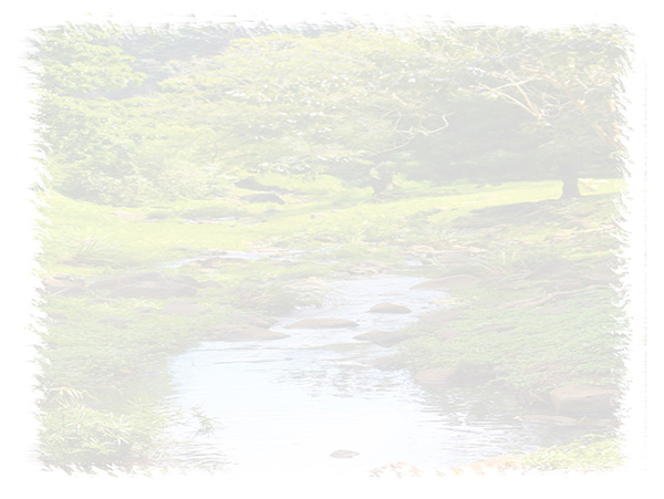 Law of Attraction Card - Image 3