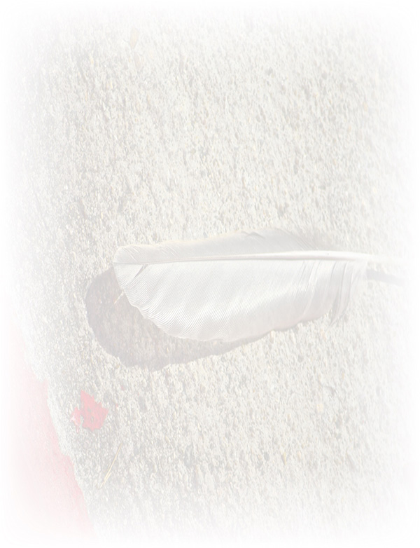 Law of Attraction Card - Image 3