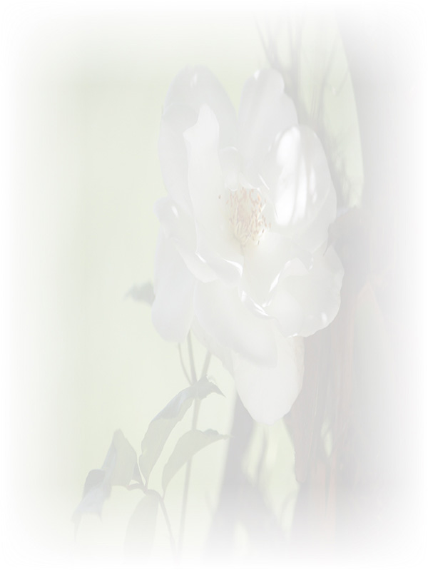 Law of Attraction Card - Image 3