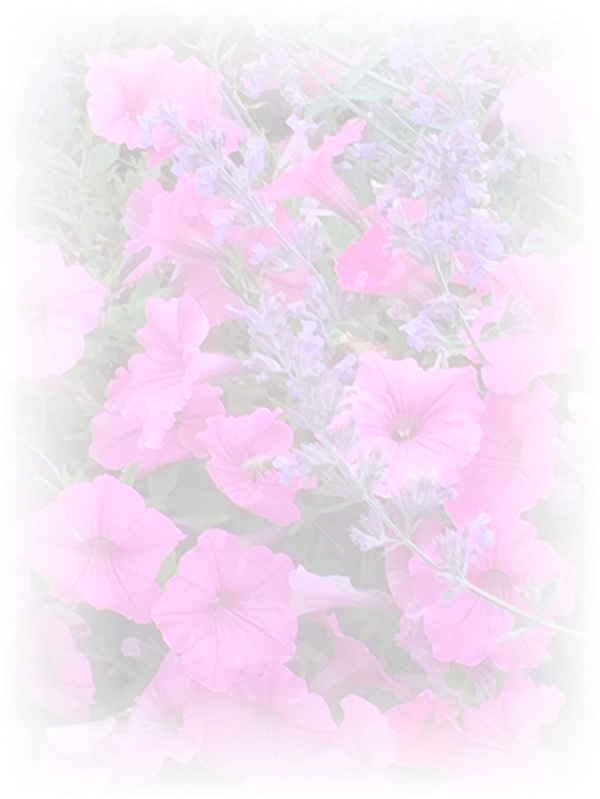 Law of Attraction Card - Image 3
