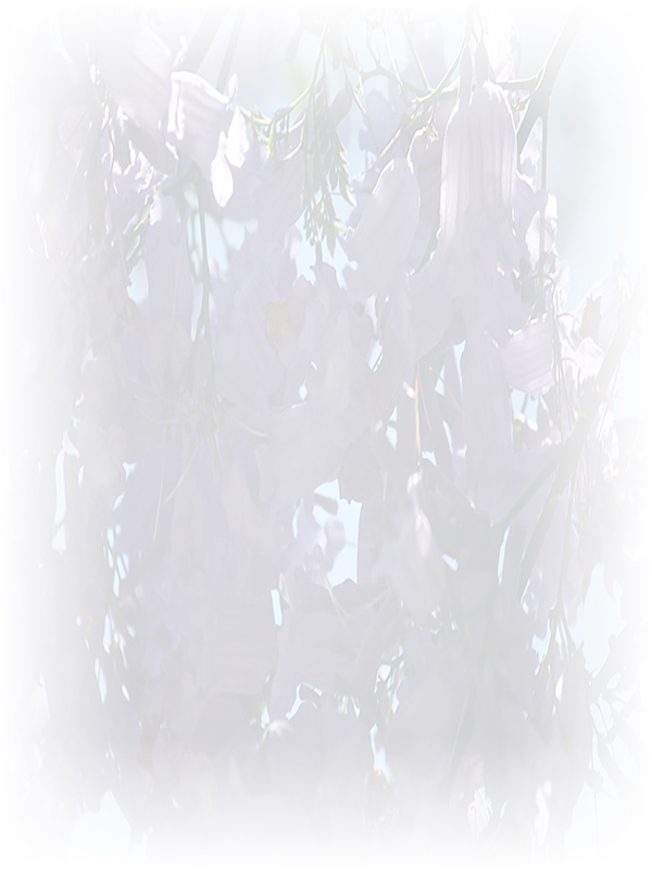 Law of Attraction Card - Image 3