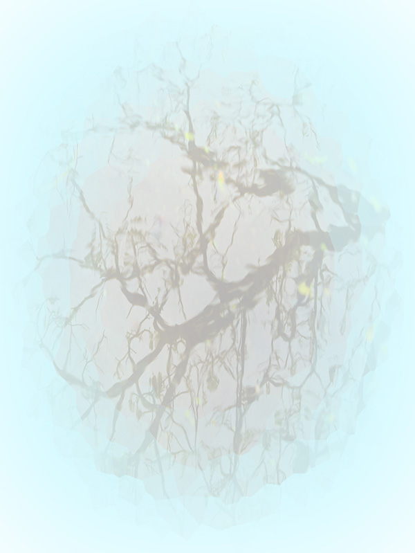 Law of Attraction Card - Image 3