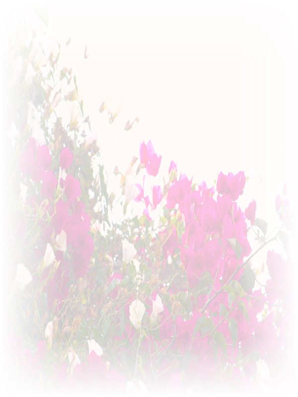 Law of Attraction Card - Image 3