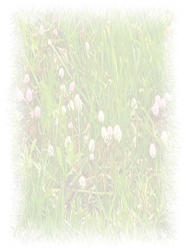 Law of Attraction Card - Image 3