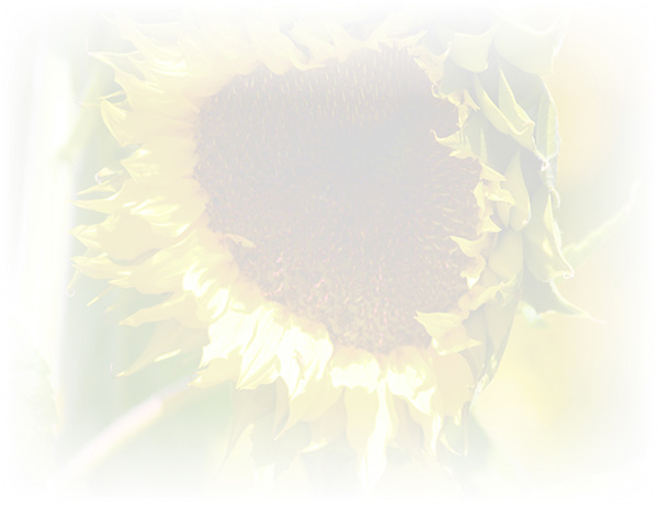 Law of Attraction Card - Image 3