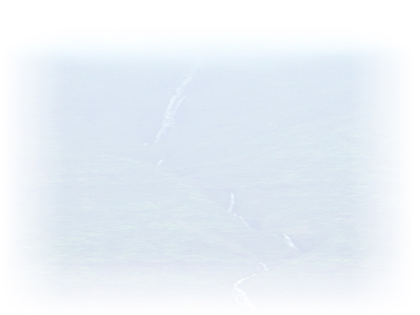 Law of Attraction Card - Image 3