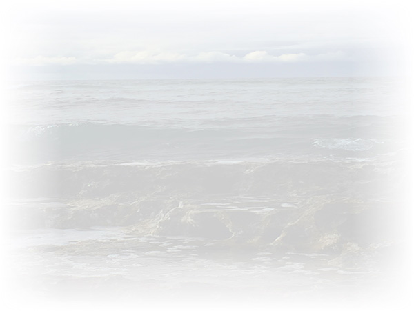 Law of Attraction Card - Image 3